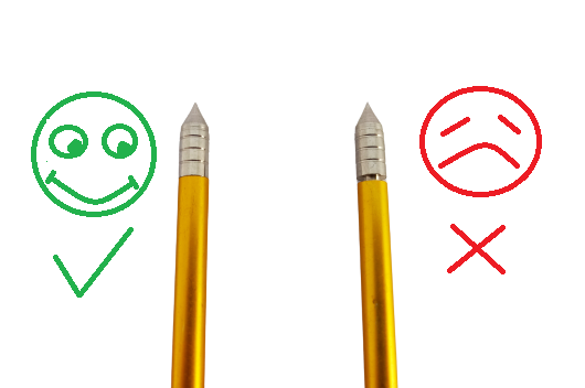 Aluminium Bolzen 6,5" für Pistolenarmbrust 24 Stück – Bild 4